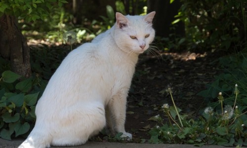 晕车快贴多少钱一盒-晕车快贴 说明书网—知名的晕车快贴说明书网站,分享晕车快贴成分知识