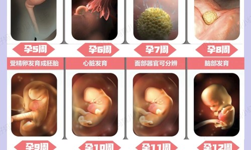 晕车快贴 说明书网—知名的晕车快贴说明书网站,分享晕车快贴成分知识